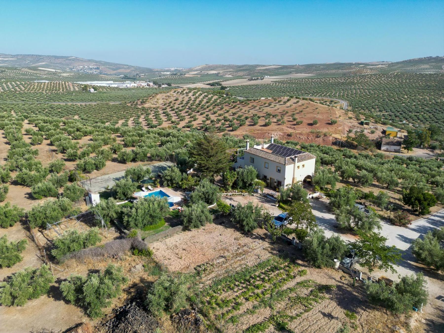 Agroturismo Ecologico El Cortijillo Luque Exteriér fotografie