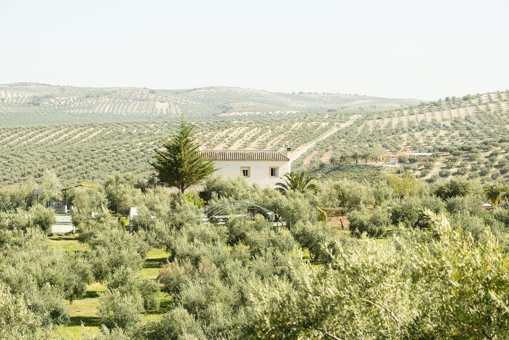 Agroturismo Ecologico El Cortijillo Luque Exteriér fotografie