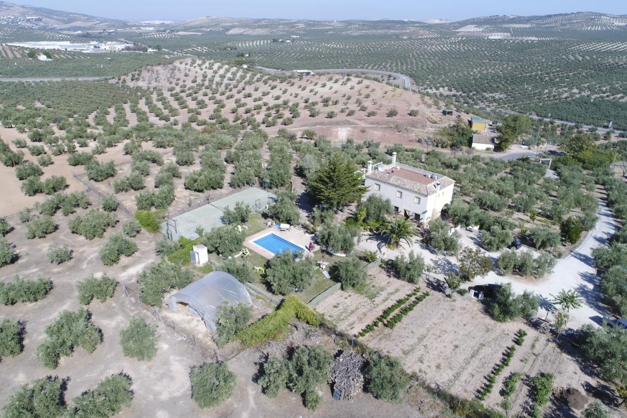 Agroturismo Ecologico El Cortijillo Luque Exteriér fotografie