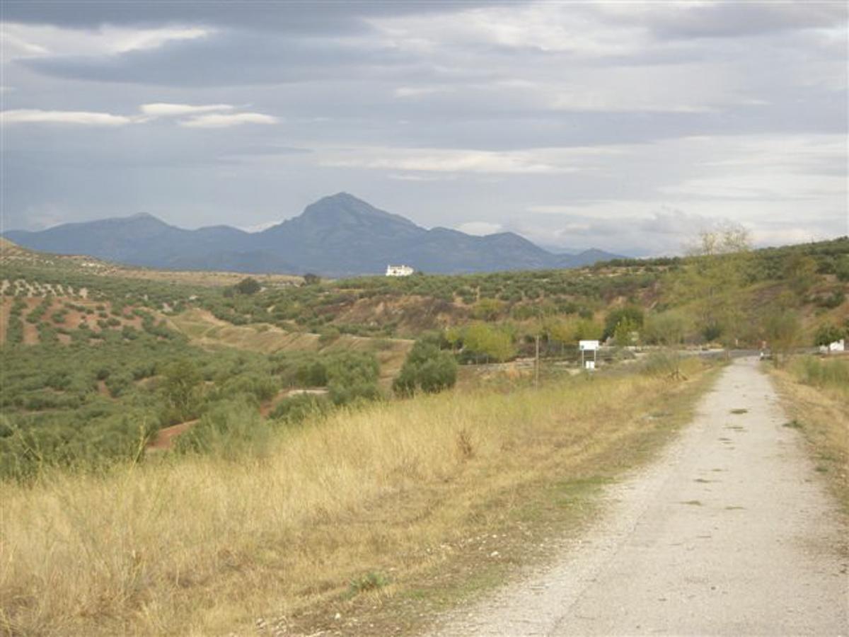 Agroturismo Ecologico El Cortijillo Luque Exteriér fotografie